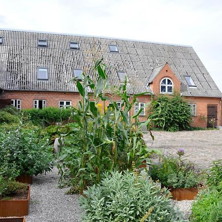 Lundsgaard Bed & Breakfast Fåborg Zewnętrze zdjęcie