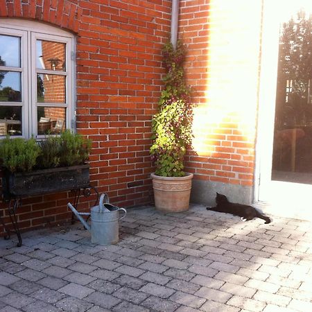 Lundsgaard Bed & Breakfast Fåborg Zewnętrze zdjęcie