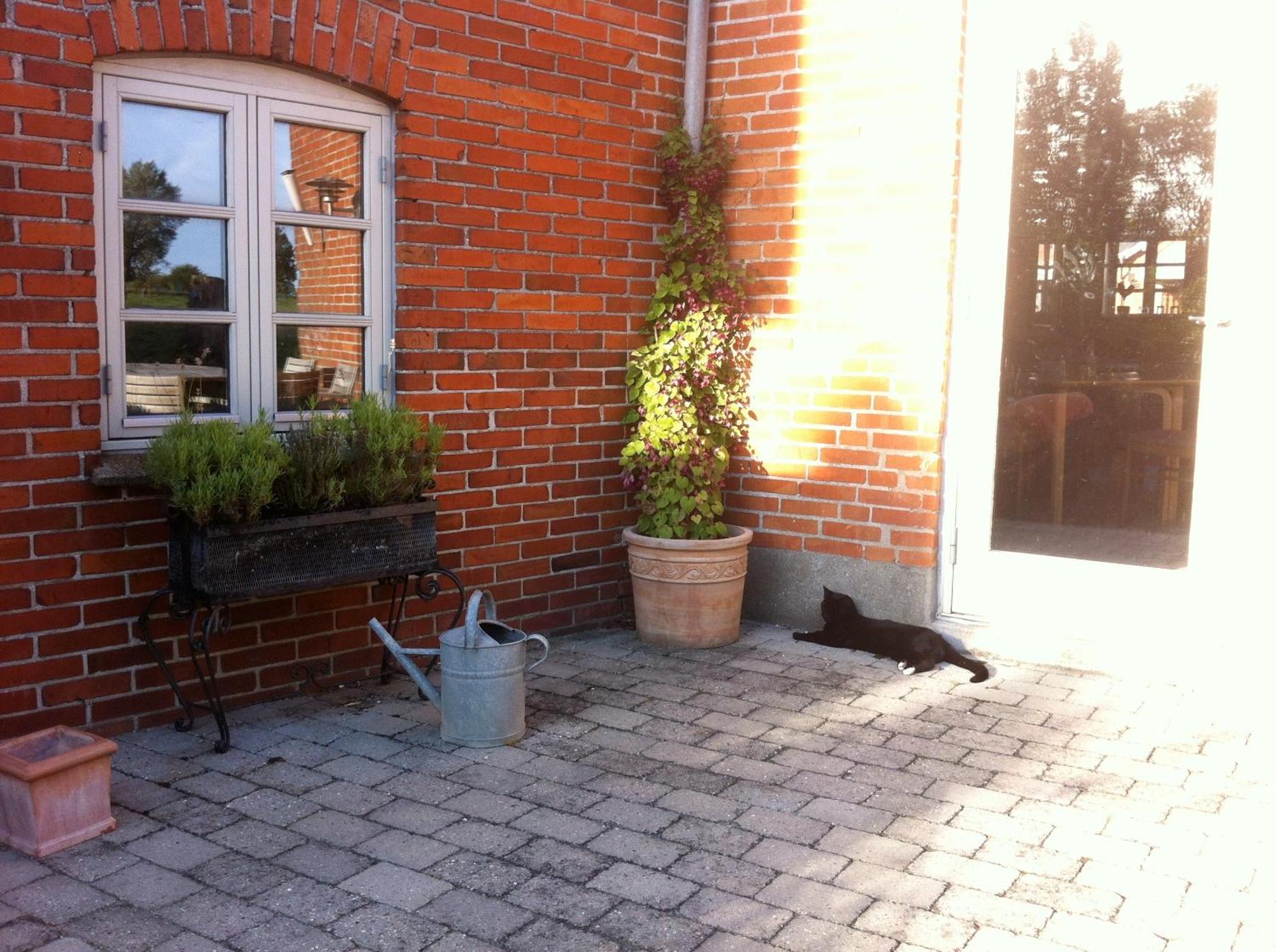 Lundsgaard Bed & Breakfast Fåborg Zewnętrze zdjęcie