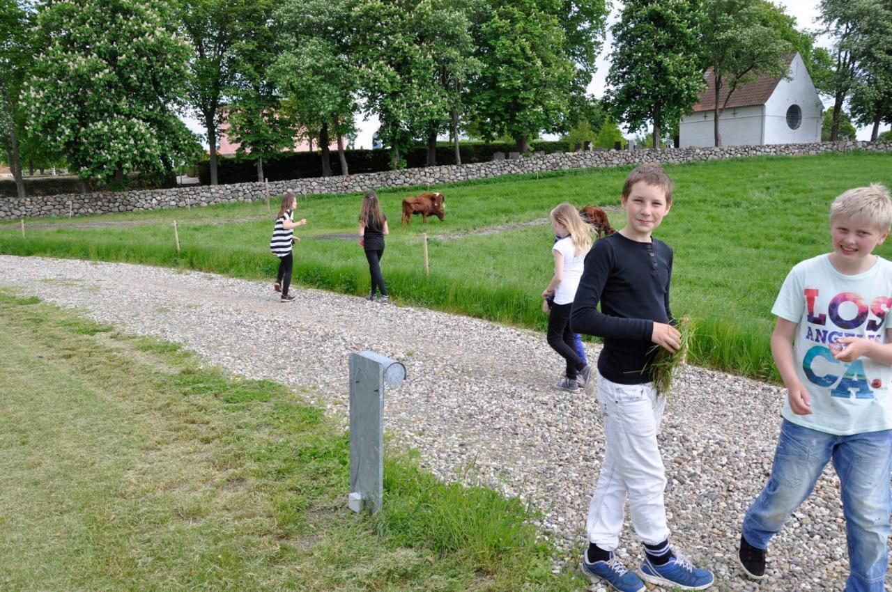 Lundsgaard Bed & Breakfast Fåborg Zewnętrze zdjęcie